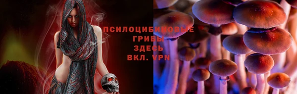 герыч Аркадак