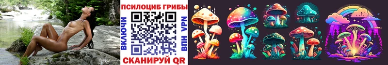 darknet наркотические препараты Нижние Серги Псилоцибиновые грибы MAGIC MUSHROOMS магазин продажи